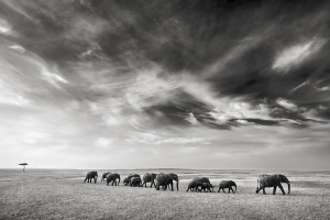 Elephant Dream - The walk - © Kyriakos Kaziras